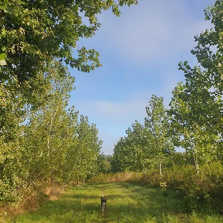 Histoire De Village *