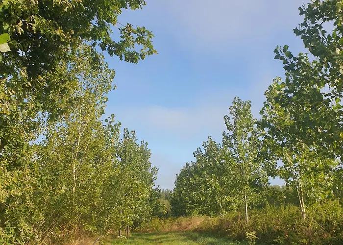 Histoire De Village *