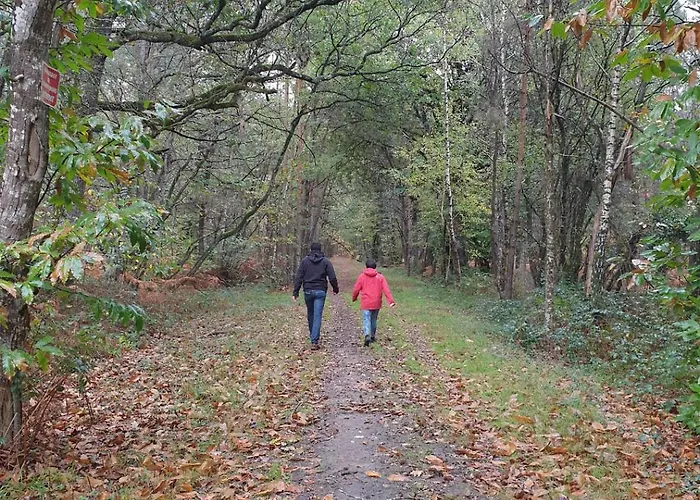 Histoire De Village *